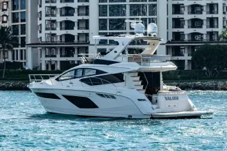 Thumbnail von Sea Ray L550 Fly