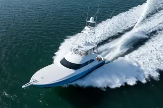 Thumbnail von Viking 60 Convertible Reel Developers