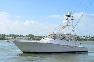 Thumbnail von Viking 52' Open
