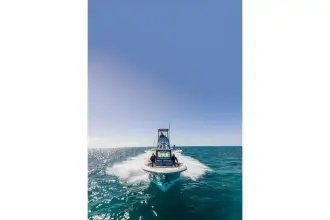Thumbnail von Viking 52' Open