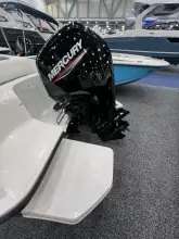 Thumbnail von Bayliner E16