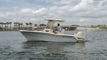 Grady White Fisherman 216
