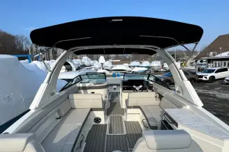 Thumbnail von Sea Ray SDX 290 Outboard