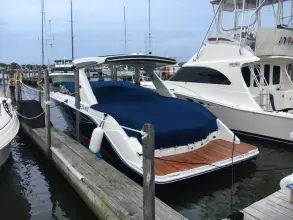 Thumbnail von Sea Ray SLX 310