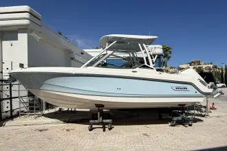Thumbnail von Boston Whaler 240 Vantage