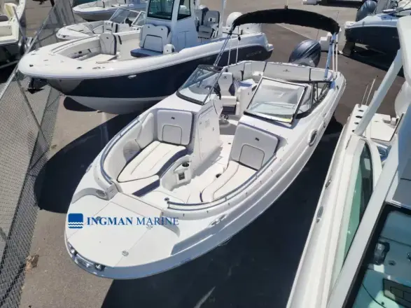 Stingray 231DC