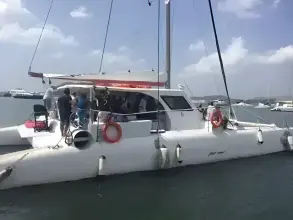 Thumbnail von Custom Sunrise 59 Day Charter Sun Cat