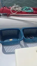 Thumbnail von Custom Sunrise 59 Day Charter Sun Cat