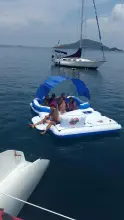 Thumbnail von Custom Sunrise 59 Day Charter Sun Cat