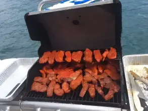 Thumbnail von Custom Sunrise 59 Day Charter Sun Cat