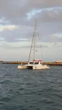 Thumbnail von Custom Sunrise 59 Day Charter Sun Cat