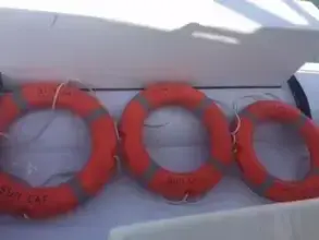 Thumbnail von Custom Sunrise 59 Day Charter Sun Cat