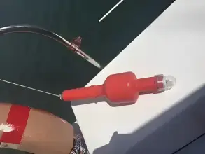 Thumbnail von Custom Sunrise 59 Day Charter Sun Cat