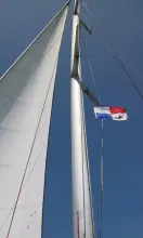 Thumbnail von Custom Sunrise 59 Day Charter Sun Cat