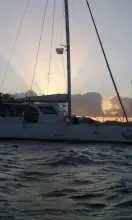 Thumbnail von Custom Sunrise 59 Day Charter Sun Cat