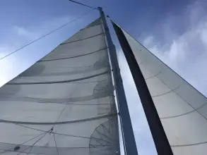 Thumbnail von Custom Sunrise 59 Day Charter Sun Cat