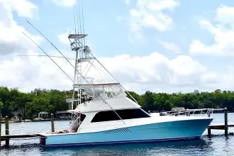 Thumbnail von Viking 50 Convertible "Dock Fee"