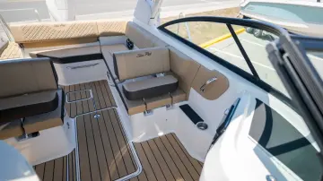 Thumbnail von Sea Ray SDX 250 Dıştan Takma