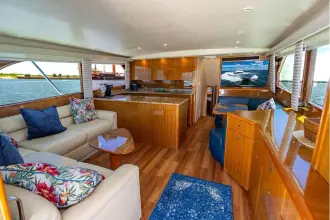 Thumbnail von Viking 56 Convertible REEL SOUTHERN