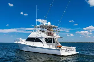 Thumbnail von Viking 56 Convertible REEL SOUTHERN