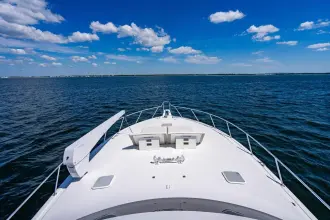 Thumbnail von Viking 56 Convertible REEL SOUTHERN