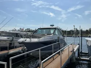 Thumbnail von Sea Ray 320 Sundancer Dıştan Takma Motor