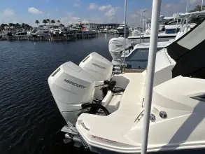 Thumbnail von Sea Ray 320 Sundancer Dıştan Takma Motor