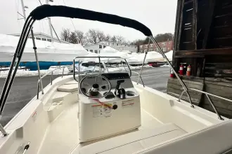 Thumbnail von Boston Whaler 170 Montauk