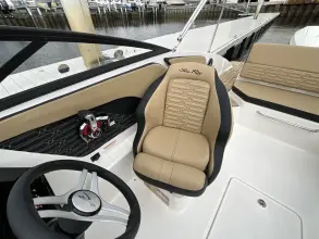 Thumbnail von Sea Ray SPX 210 Dıştan Takma