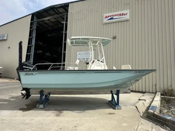 Boston Whaler 210 Montauk