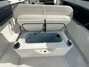 Thumbnail von Boston Whaler 210 Montauk