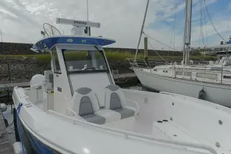 Thumbnail von Everglades 295 CC