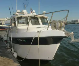 Thumbnail von Osprey 30 Balıkçı
