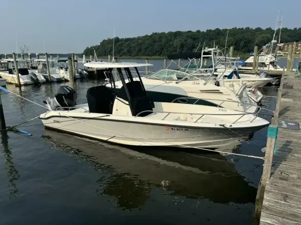 Boston Whaler 250 Dauntless