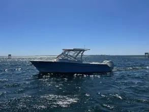 Grady White Freedom 275