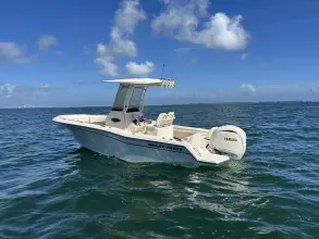 Thumbnail von Grady White Fisherman 216