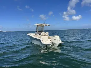 Thumbnail von Grady White Fisherman 216