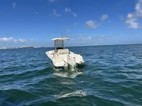 Thumbnail von Grady White Fisherman 216