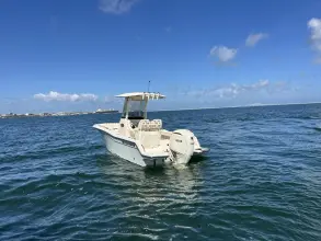 Thumbnail von Grady White Fisherman 216