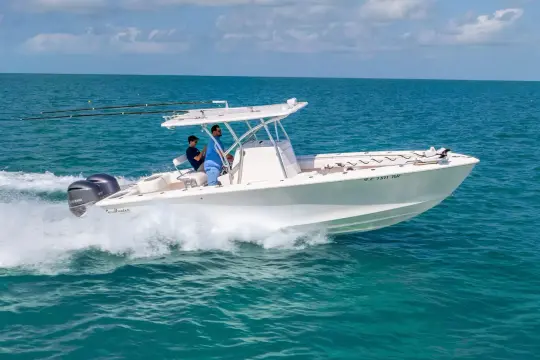 Sea Hunter 29