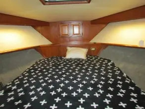 Thumbnail von Viking 45 Convertible
