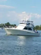 Thumbnail von Viking 45 Convertible