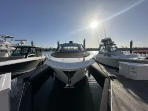 Thumbnail von Sea Ray 370 Sundancer
