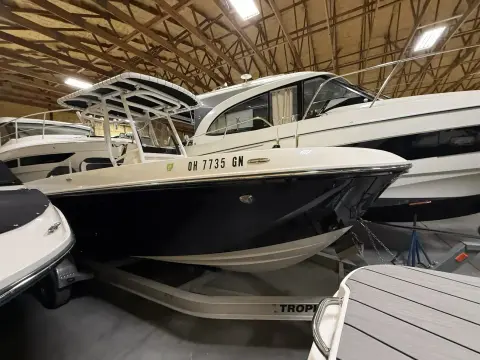 Bayliner TROPHY CC24