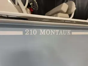 Thumbnail von Boston Whaler 210 Montauk