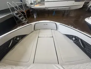 Thumbnail von Sea Ray SPX 210 Outboard