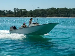 Thumbnail von Boston Whaler 170 Montauk