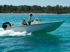 Thumbnail von Boston Whaler 170 Montauk