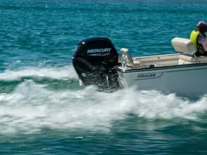 Thumbnail von Boston Whaler 170 Montauk