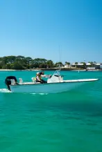 Thumbnail von Boston Whaler 170 Montauk